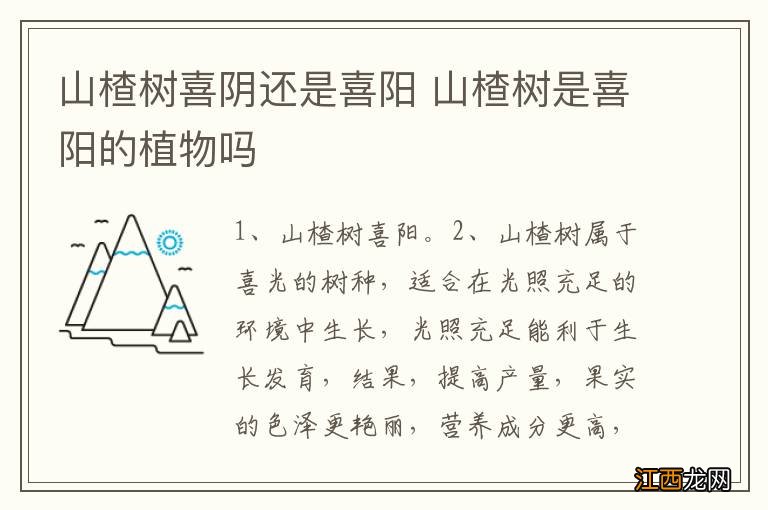 山楂树喜阴还是喜阳 山楂树是喜阳的植物吗