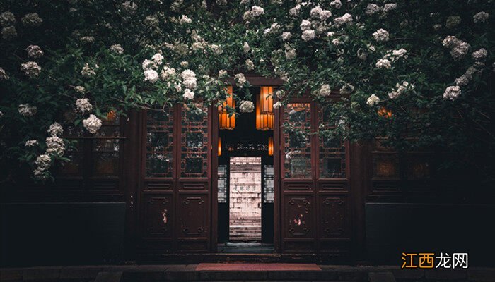 八仙花的养殖方法和注意事项 八仙花的养殖方法