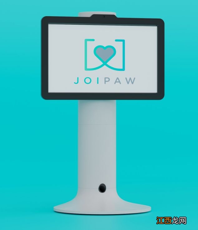 研究表明电子游戏对老犬健康有益,于是一款狗类主机诞生