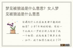 梦见被狼追是什么意思？女人梦见被狼追是什么意思