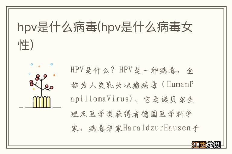 hpv是什么病毒女性 hpv是什么病毒