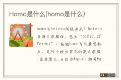 homo是什么 Homo是什么