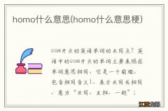 homo什么意思梗 homo什么意思