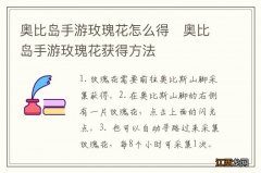 奥比岛手游玫瑰花怎么得　奥比岛手游玫瑰花获得方法