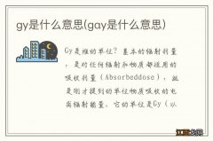 gαy是什么意思 gy是什么意思