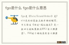 fgo是什么 fgo是什么意思