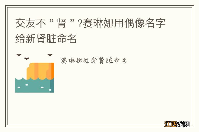 交友不＂肾＂?赛琳娜用偶像名字给新肾脏命名