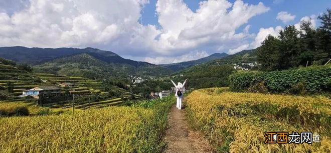 初秋限定美景！温州这处醉美梯田，就要刷爆朋友圈！