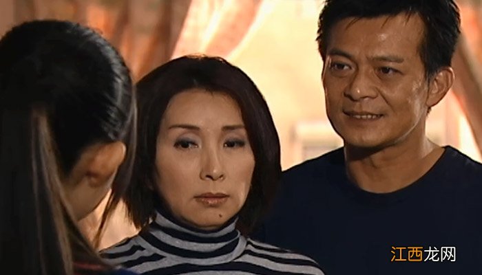 黄日华苗侨伟演的破案电视剧 黄日华苗侨伟演的破案电视剧是什么