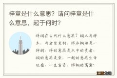 梓童是什么意思？请问梓童是什么意思，起于何时？