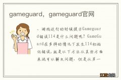 gameguard，gameguard官网