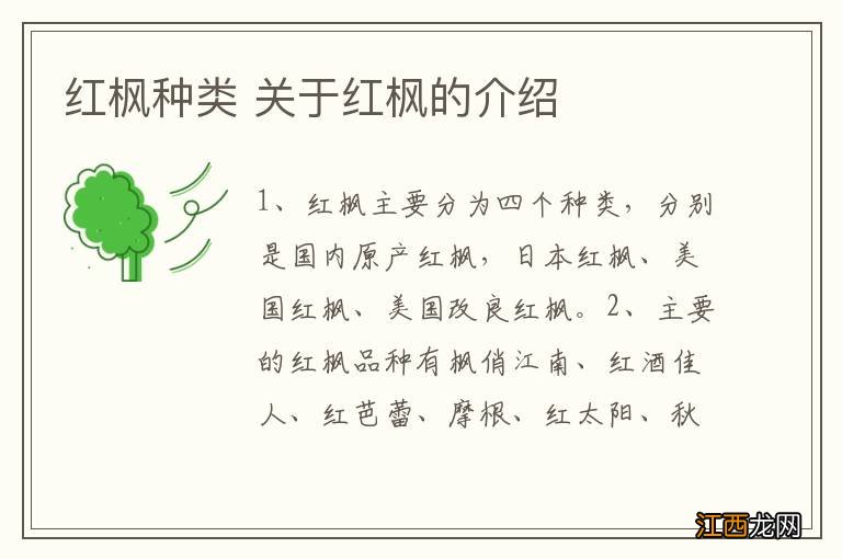 红枫种类 关于红枫的介绍