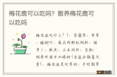 梅花鹿可以吃吗？散养梅花鹿可以吃吗