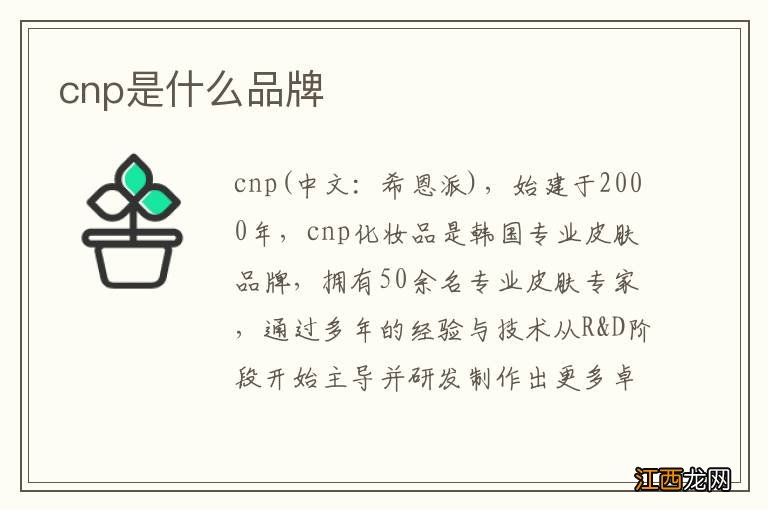 cnp是什么品牌