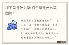 梅干菜是什么菜图片 梅干菜是什么菜