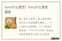 furry什么意思？furry什么意思圈里