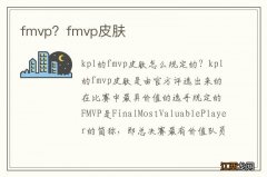 fmvp？fmvp皮肤