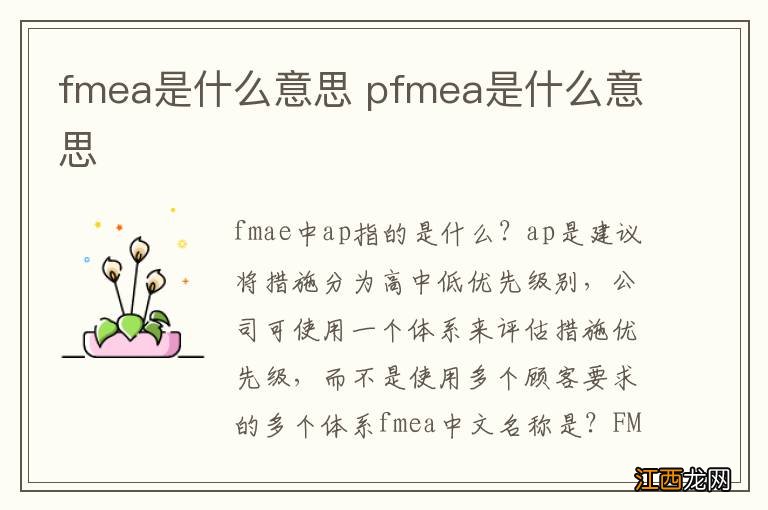 fmea是什么意思 pfmea是什么意思