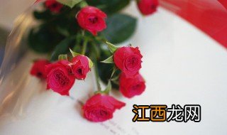 立春后月季施什么肥 立春后月季的栽培