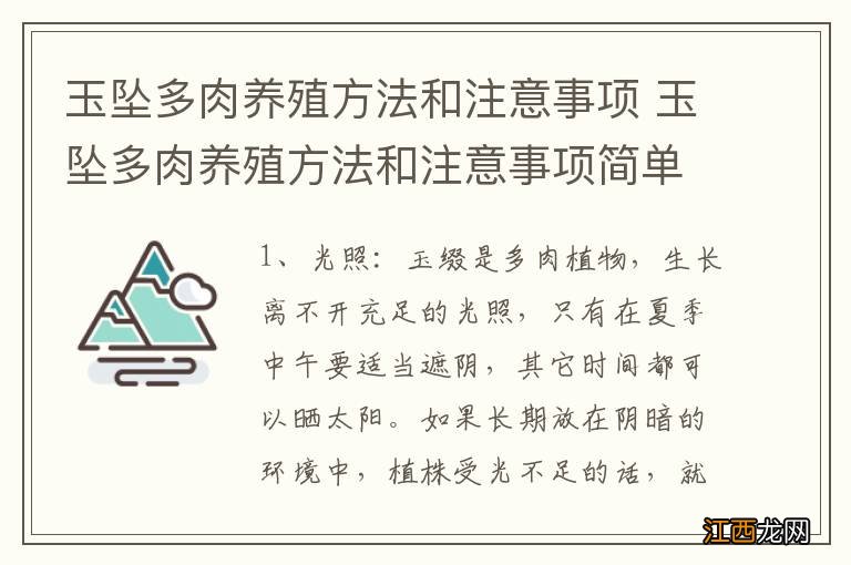 玉坠多肉养殖方法和注意事项 玉坠多肉养殖方法和注意事项简单介绍