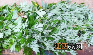 端午节插艾草的寓意 端午节插艾草的寓意是什么