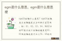 egm是什么意思，egm是什么意思梗