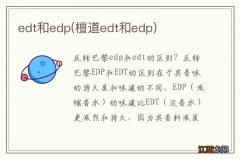 檀道edt和edp edt和edp