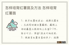 怎样培育红薯苗及方法 怎样培育红薯苗