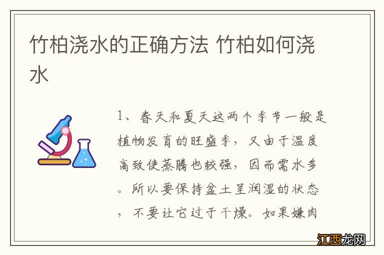 竹柏浇水的正确方法 竹柏如何浇水