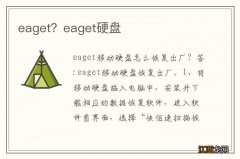 eaget？eaget硬盘