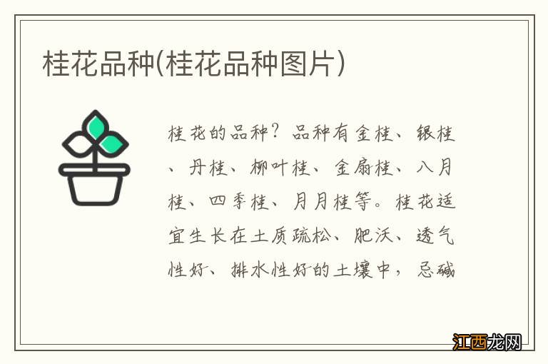 桂花品种图片 桂花品种