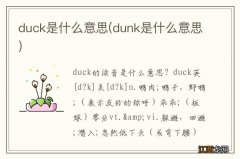 dunk是什么意思 duck是什么意思