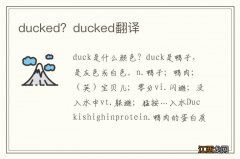 ducked？ducked翻译