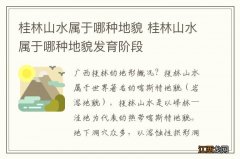 桂林山水属于哪种地貌 桂林山水属于哪种地貌发育阶段