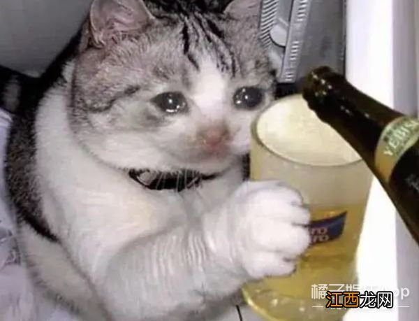 和他在一起,绝不会塌房?