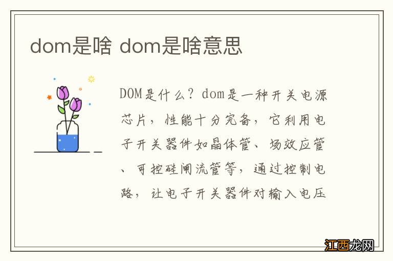 dom是啥 dom是啥意思