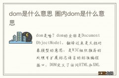 dom是什么意思 圈内dom是什么意思