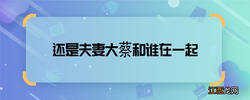 还是夫妻大蔡和谁在一起 还是夫妻大蔡结局是什么