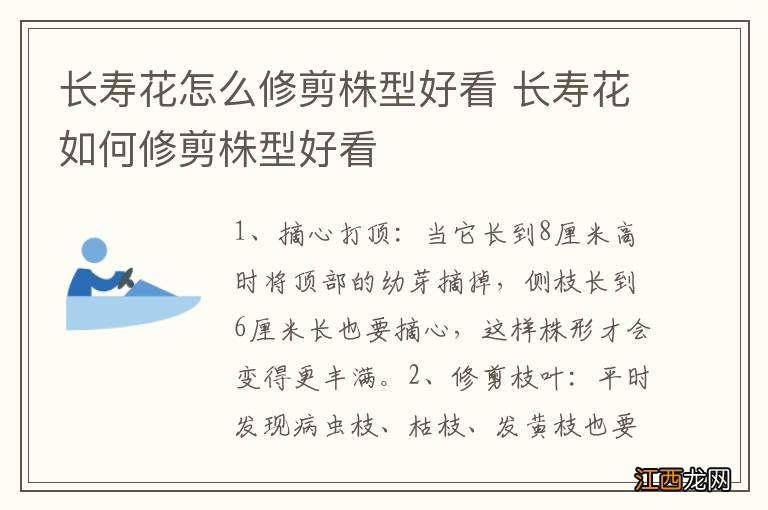 长寿花怎么修剪株型好看 长寿花如何修剪株型好看