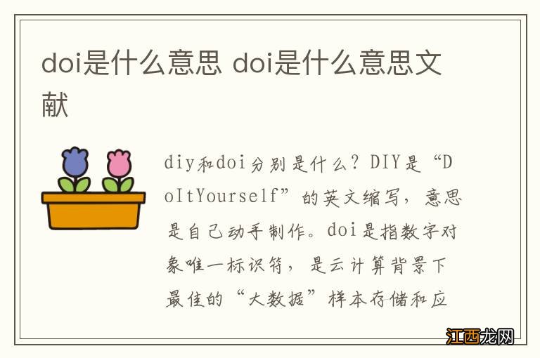 doi是什么意思 doi是什么意思文献