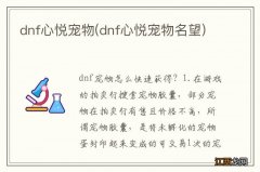 dnf心悦宠物名望 dnf心悦宠物