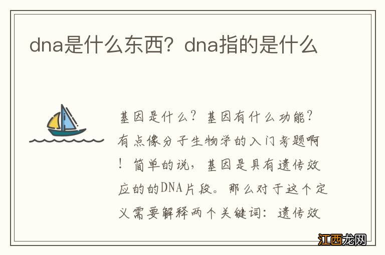 dna是什么东西？dna指的是什么