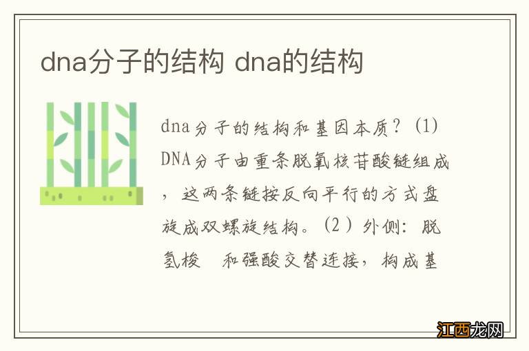 dna分子的结构 dna的结构