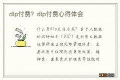 dip付费？dip付费心得体会