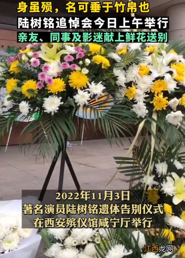 陆树铭举行追悼会,儿子手捧遗照伤心送别,亲友影迷赴殡仪馆告别