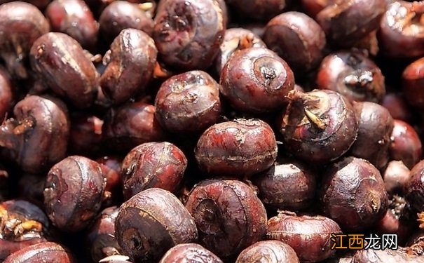 荸荠怎么吃最美味？荸荠的养生吃法有哪些？