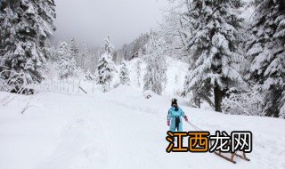 雪的句子短句唯美 描写雪景超唯美的短句