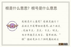 根是什么意思？根号是什么意思