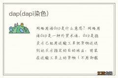 dapi染色 dap