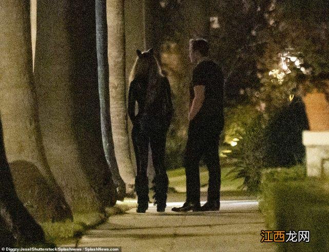 埃隆·马斯克带第一任前妻赴派对,六娃妈变猫女,推特老板演自己